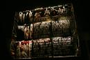 page blanche 020 * 4368 x 2912 * (4.9MB)